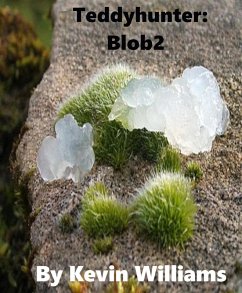 Cover Teddyhunter: Blob2 (eBook, ePUB)