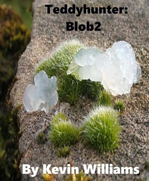 Teddyhunter: Blob2 (eBook, ePUB)