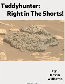 Teddyhunter: Right in the Shorts (eBook, ePUB)
