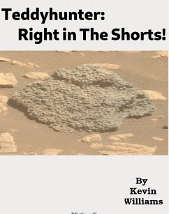 Cover Teddyhunter: Right in the Shorts (eBook, ePUB)