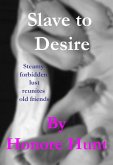 Slave to Desire (Awakening the Rainbow Within, #10) (eBook, ePUB)