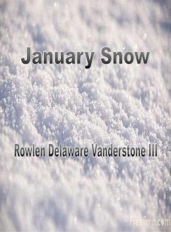 Cover January Snow (eBook, ePUB)