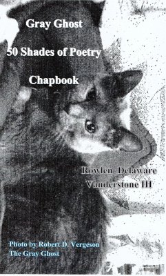 Gray Ghost 50 Shades of Poetry Chapbook (eBook, ePUB) - Vanderstone, Rowlen Delaware