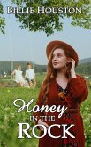Honey in the Rock (Second Chances Christian Romances) (eBook, ePUB)