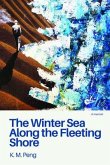 The Winter Sea Along the Fleeting Shore (eBook, ePUB)