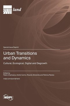 Cover Urban Transitions and Dynamics
