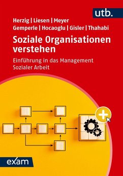 Cover Soziale Organisationen verstehen