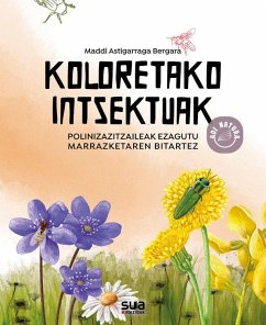 Koloretako intsektuak
