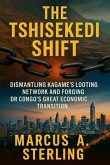 The Tshisekedi Shift (eBook, ePUB)