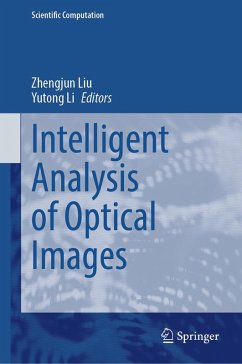 Cover Intelligent Analysis of Optical Images (eBook, PDF)