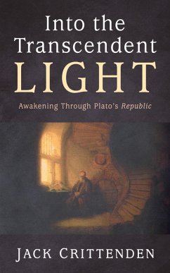 Into the Transcendent Light (eBook, ePUB)