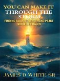 You Can Make It Through the Storm (eBook, ePUB)