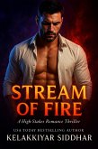 Stream of Fire: A High-Stakes Romance Thriller (eBook, ePUB)