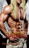 The Elumi: Gabriel (eBook, ePUB)