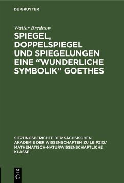 Cover Spiegel, Doppelspiegel und Spiegelungen eine 