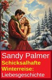 Schicksalhafte Winterreise: Liebesgeschichte (eBook, ePUB)