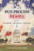 Due Process Denied: The Detained - The Families - The Fallout (eBook, ePUB)
