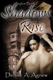 Shadows Rise (Asylum Trilogy Book 2) (eBook, ePUB)