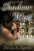 Shadows Wait (Asylum Trilogy Book 1) (eBook, ePUB)