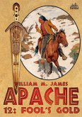 Fool's Gold (An Apache / Cuchillo Oro Western #12) (eBook, ePUB)