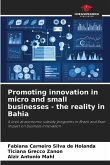 Promoting innovation in micro and small businesses - the reality in Bahia