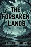 The Forsaken Lands
