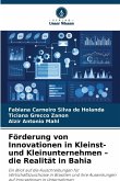 Förderung von Innovationen in Kleinst- und Kleinunternehmen - die Realität in Bahia