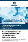 Nanokomposite aus Nitrilkautschuk mit organophilem Montmorillonit Nanokomposite aus Nitrilkautschuk mit organophilem Montmorillonit