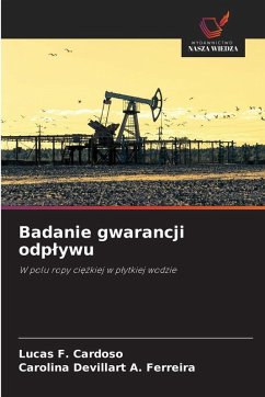 Cover Badanie gwarancji odp¿ywu