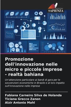 Cover Promozione dell'innovazione nelle micro e piccole imprese - realtà bahiana