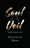 Soul Veil (eBook, ePUB)