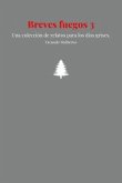 Breves fuegos 3 (eBook, ePUB)