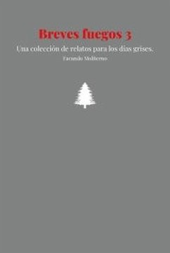 Cover Breves fuegos 3 (eBook, ePUB)
