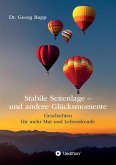 Stabile Seitenlage - und andere Glücksmomente (eBook, ePUB)