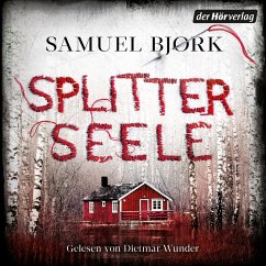 Cover Splitterseele (MP3-Download)