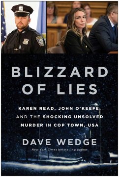 Cover Blizzard of Lies (eBook, ePUB)