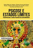 Psicose e Estados Limites: Psicopatologia e Clínica Psicanalítica Contemporânea (eBook, ePUB)