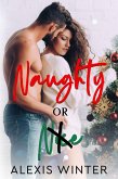 Naughty or Nice (eBook, ePUB)