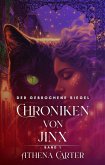 Der gebrochene Siegel (Chroniken von Jinx, #1) (eBook, ePUB)