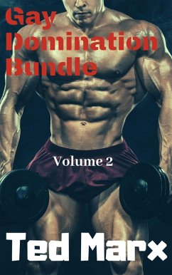 Cover Gay Domination Bundle: Volume 2 (eBook, ePUB)