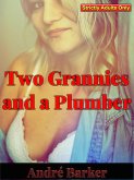 Two Grannies and a Plumber (eBook, ePUB) Two Grannies and a Plumber (eBook, ePUB)