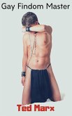 Gay Findom Master (eBook, ePUB)