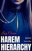 Harem Hierarchy (eBook, ePUB)