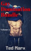 Gay Domination Bundle: Volume 3 (eBook, ePUB)