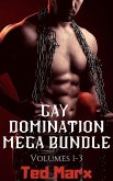 Gay Domination Mega Bundle: Volumes 1-3 (eBook, ePUB)