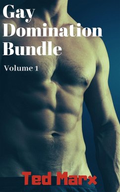 Cover Gay Domination Bundle: Volume 1 (eBook, ePUB)