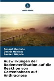 Auswirkungen der Bodensterilisation auf die Reaktion von Gartenbohnen auf Anthracnose