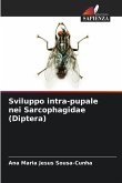 Sviluppo intra-pupale nei Sarcophagidae (Diptera)