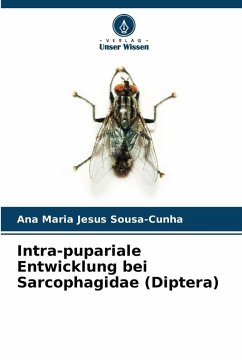 Cover Intra-pupariale Entwicklung bei Sarcophagidae (Diptera)