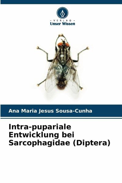 Intra-pupariale Entwicklung bei Sarcophagidae (Diptera) Intra-pupariale Entwicklung bei Sarcophagidae (Diptera)